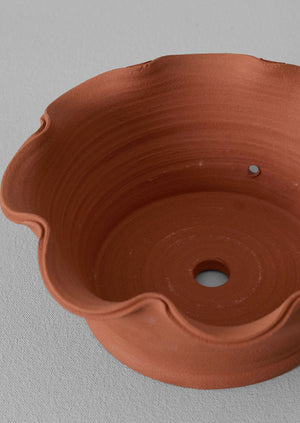 Willow Pottery Herb Pot | Terracotta