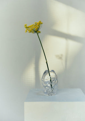 Rosie Stonham Medium Membrane Vase | Transparent