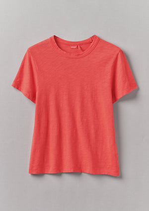 Sadie Organic Cotton Boy Tee | Poppy