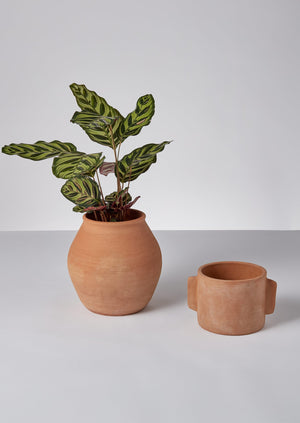 Lugged Terracotta Planter | Terracotta